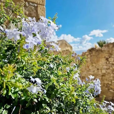 Casa Al Plumbago