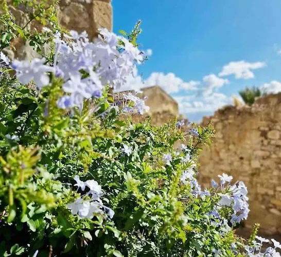 Casa Al Plumbago